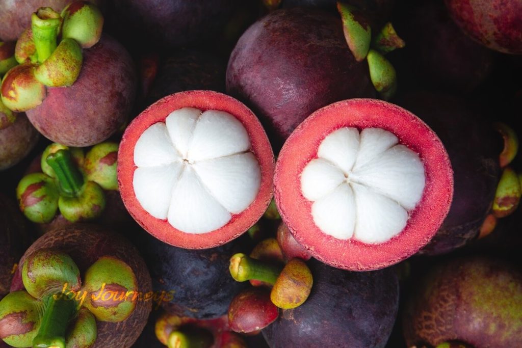 mangosteen in vietnamese