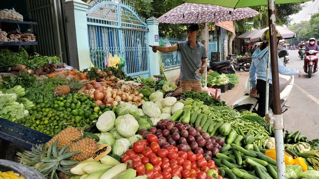 Experience vegan Vietnam with Vietnamese Vegetables Is Diverse