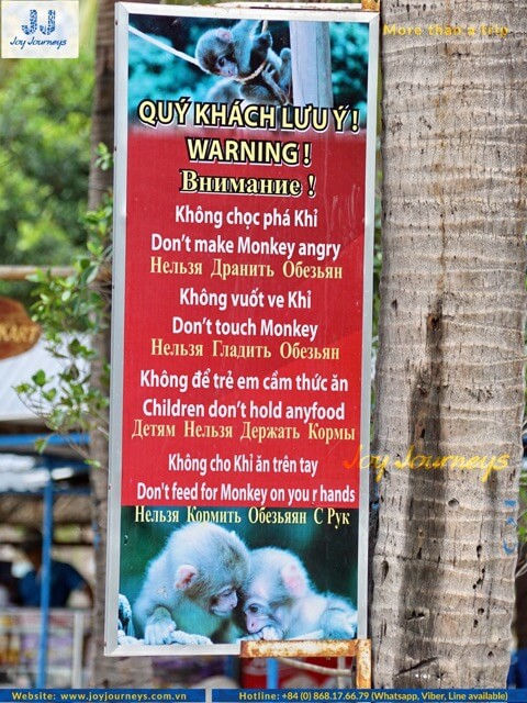 warning monkey
