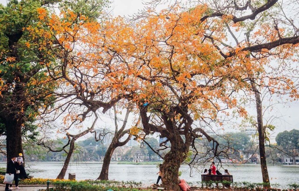 autumn in vietnam