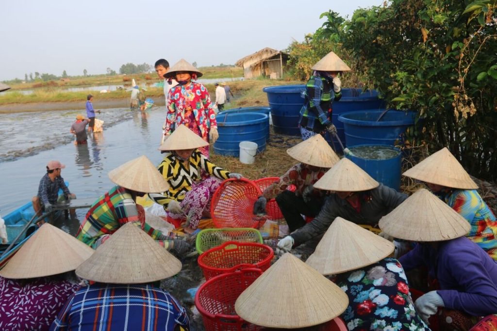 conical hat vietnam