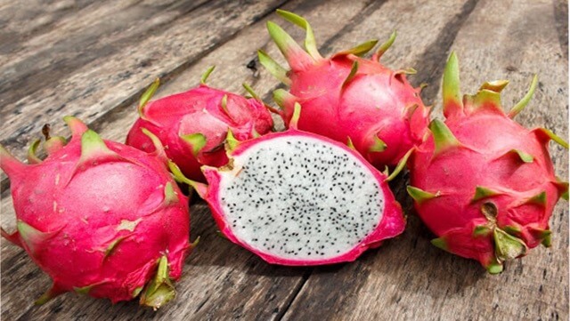 Dragon fruit