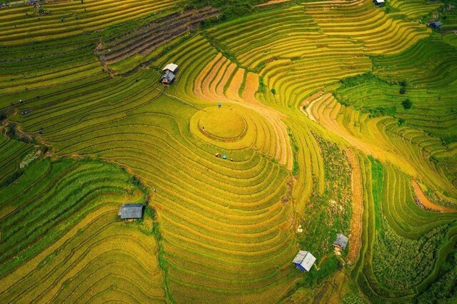 The terraced rice fields of Mu Cang Chai during the dry season