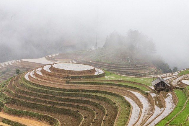 The beautiful terraced rice fields in Sapa during the monsoon season