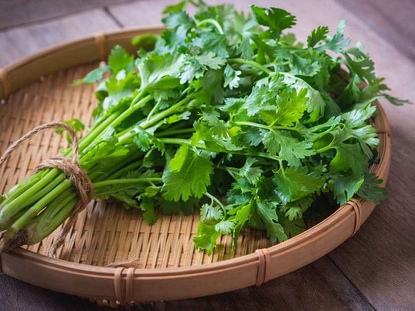 Cilantro Is Added To Hot Soup To Enhance The Flavor