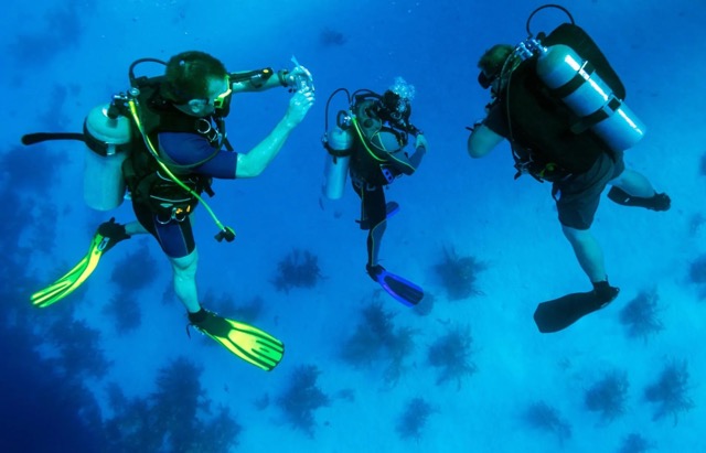 Joining Diving Tour With Guide To Ensure Safety