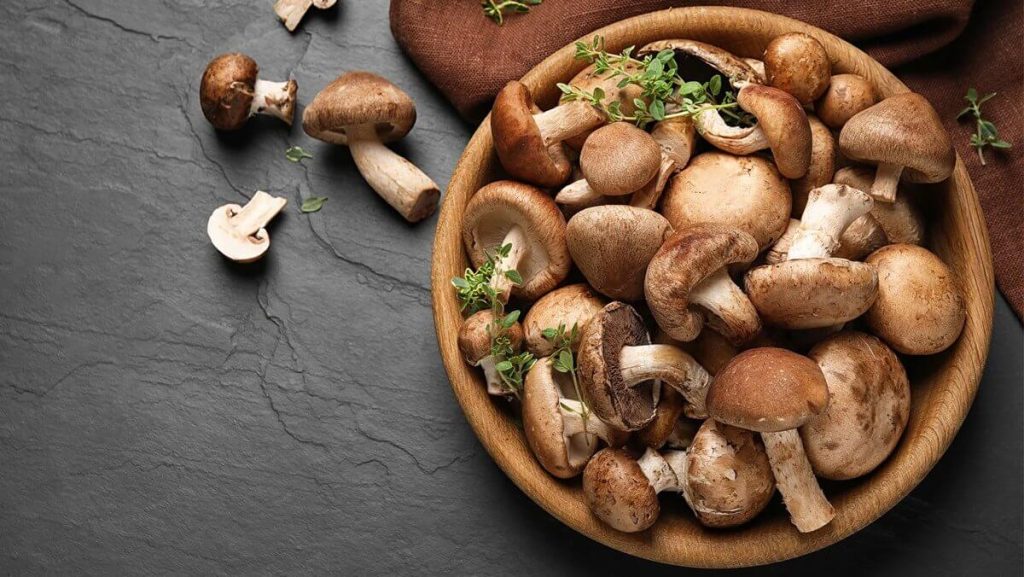 mushrooms in vietnam