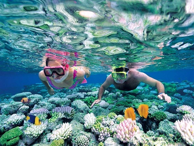 Con Dao Island - Vietnam Snorkeling Popular Spot