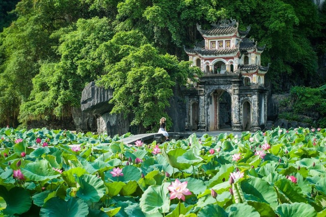 Thai Vi Temple