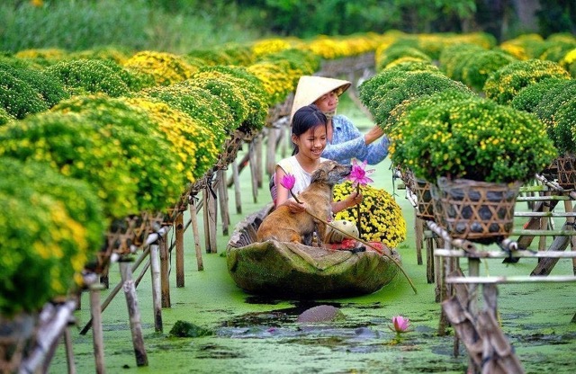 Floral Village 