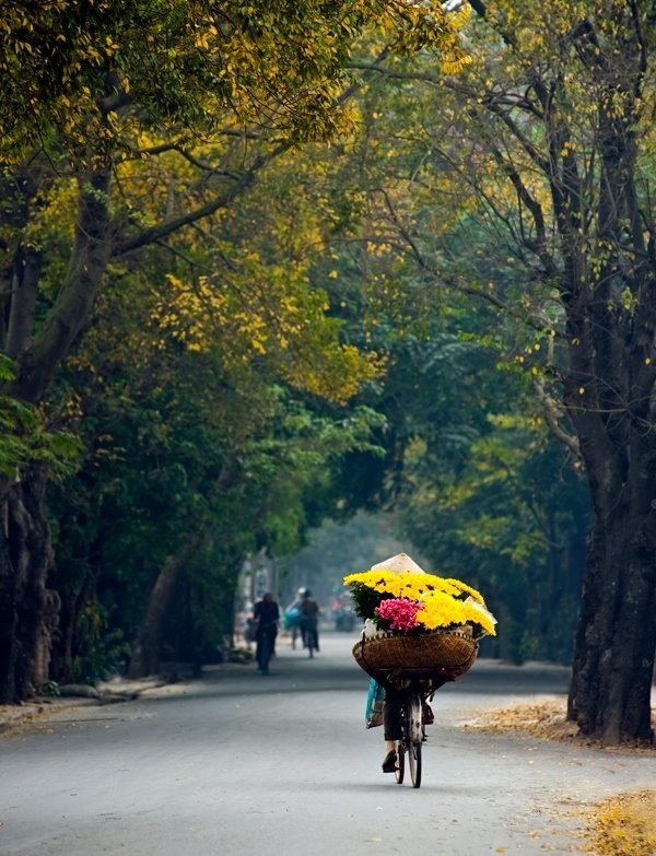 Autumn in Hanoi is the Best Weather in Vietnam Around the Year