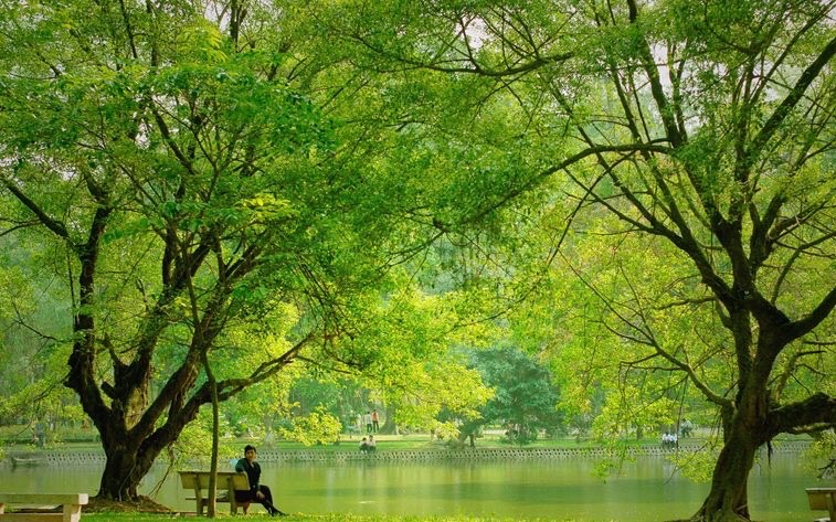 Botanical Park in Hanoi 