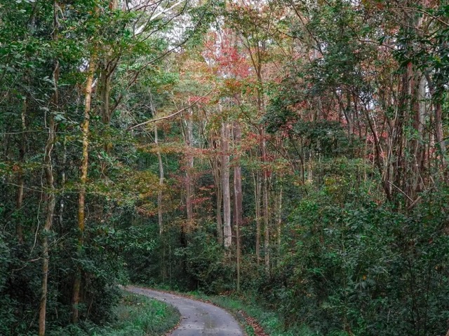 Cat Tien National Park