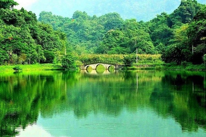 Cuc Phuong National Park is Asia's leading national park for 5 consecutive years (2019-2023) 