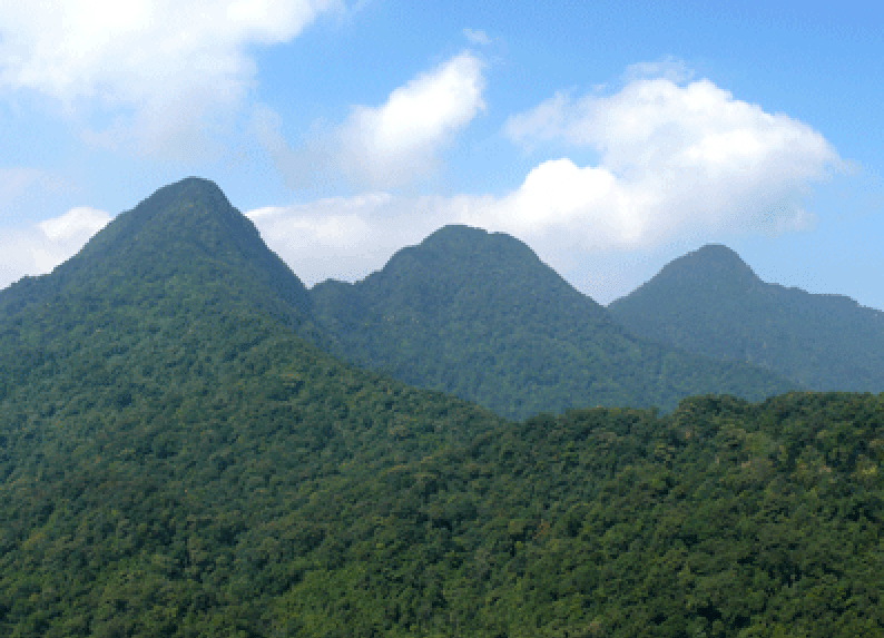 Tam Dao Vietnam