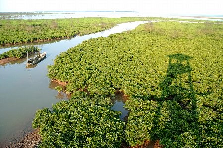 Xuan Thuy - the Smallest National Vietnam Park