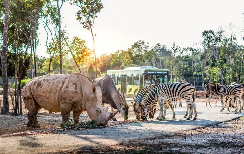 Vinpearl Safari, Phu Quoc 