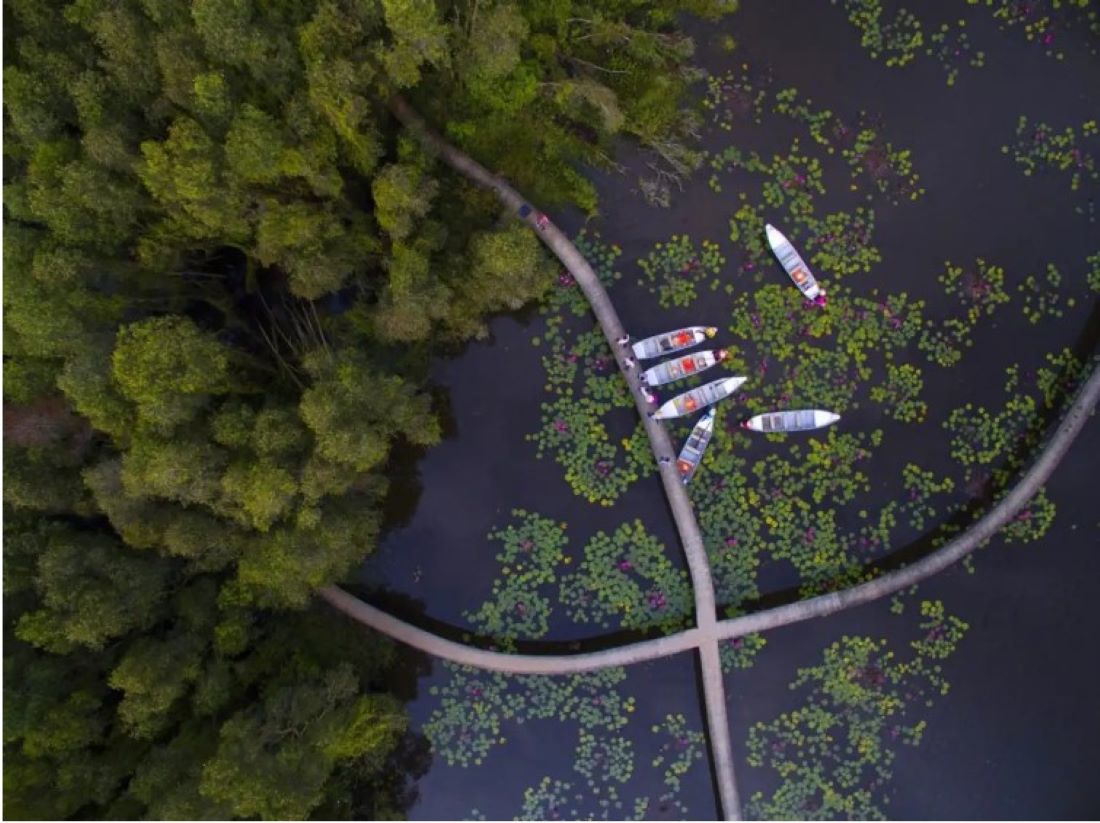 Discover the natural beauty of Tan Lap floating village