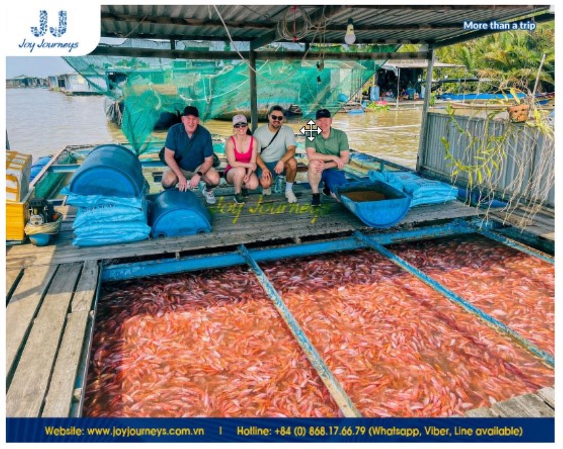 Visit the fish ponds on the My Tho - Mekong Delta tour