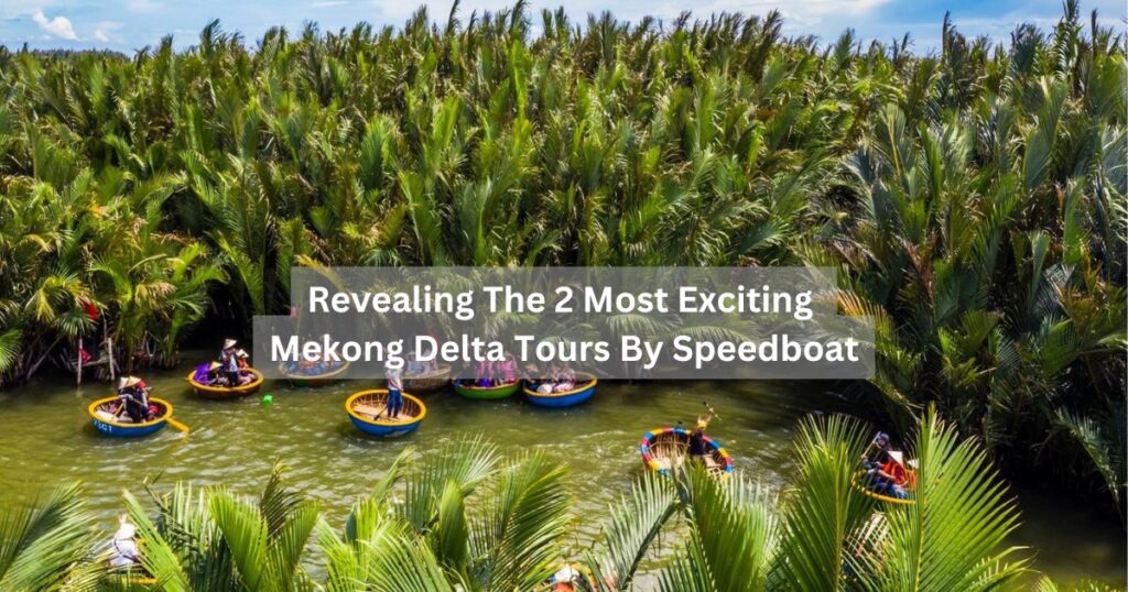 Revealing The 2 Most Exciting Mekong Delta Tours By Speedboat