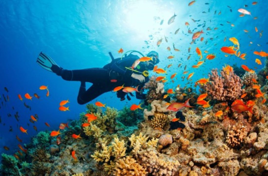 The best diving season in Phu Quoc is from November to April