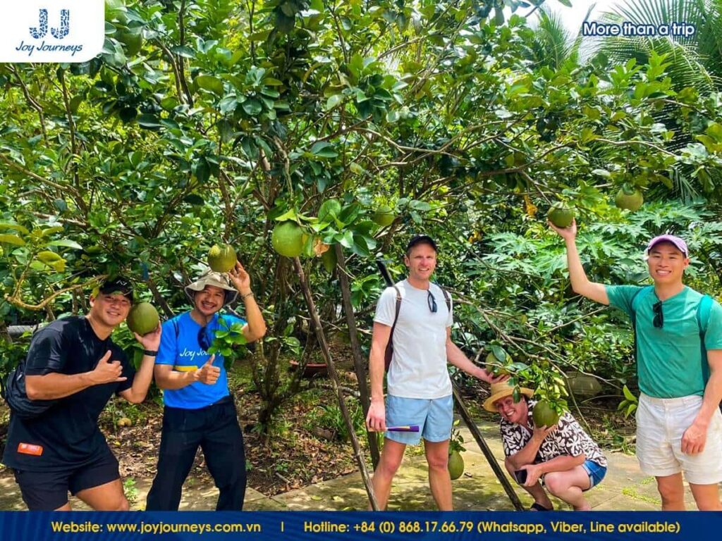 Best time to visit Mekong Delta for fruit season